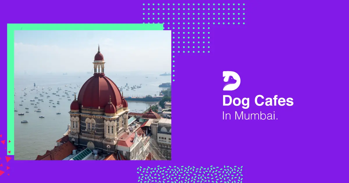 Dog cafes in mumbai