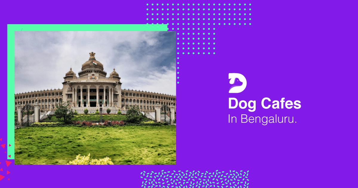 Dog Cafes In Bangalore
