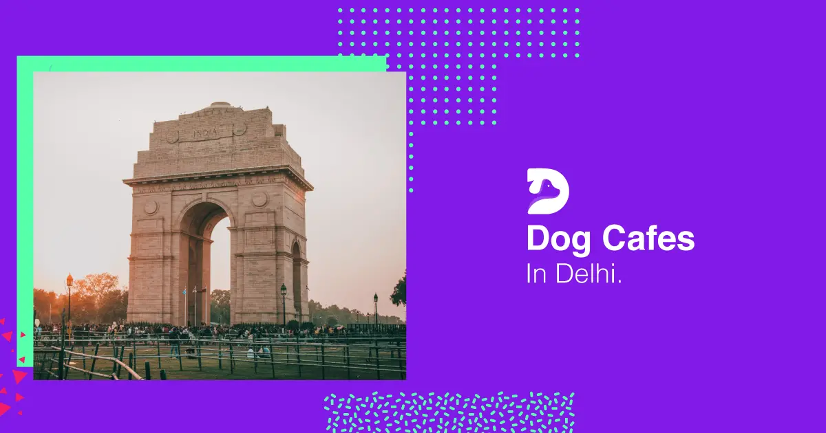 Dog Cafes In Delhi