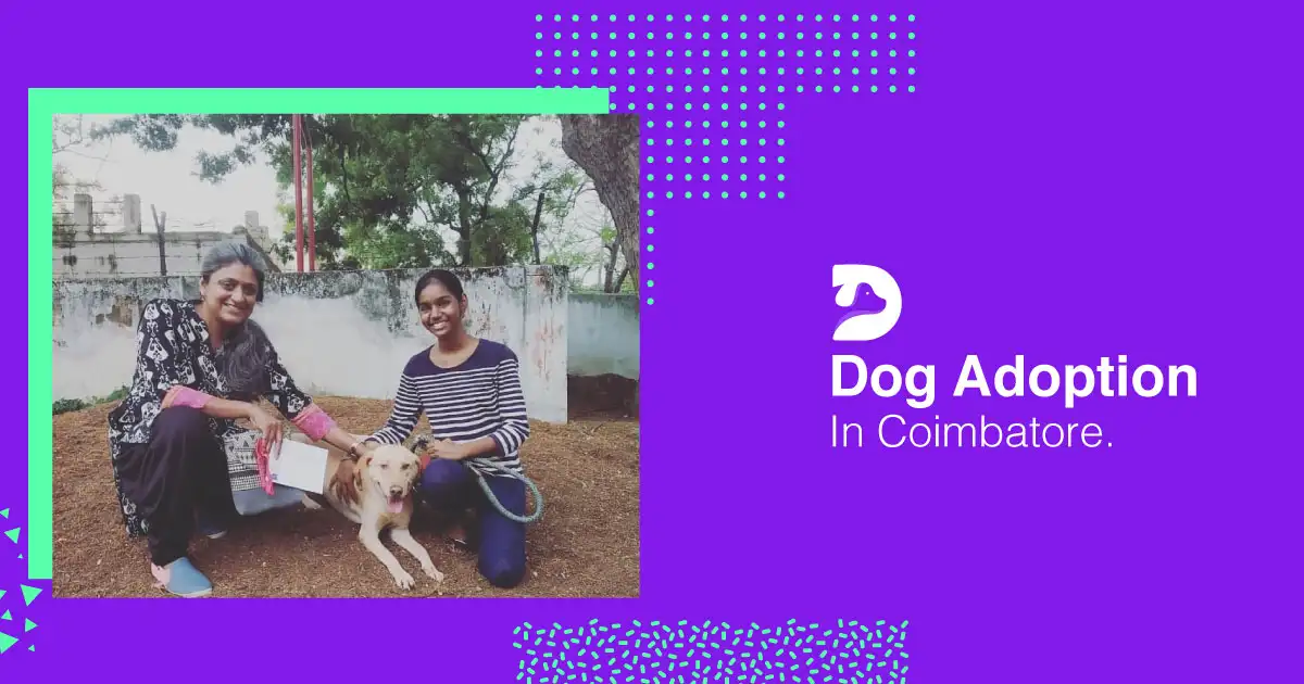 Dog Adoption In Coimbatore