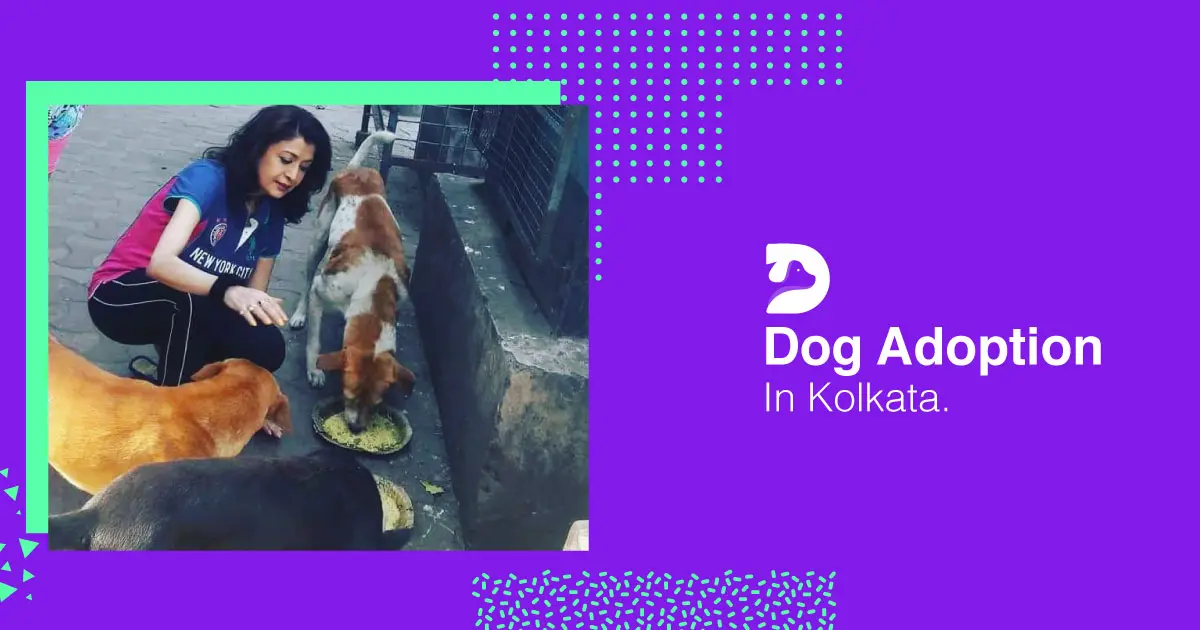 Dog Adoption In Kolkata