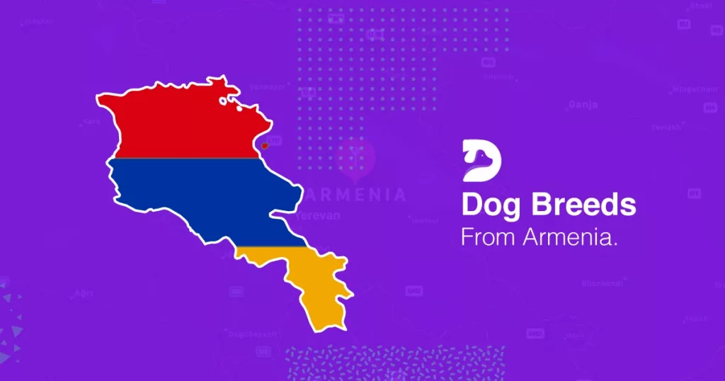 Armenian Dog Breeds