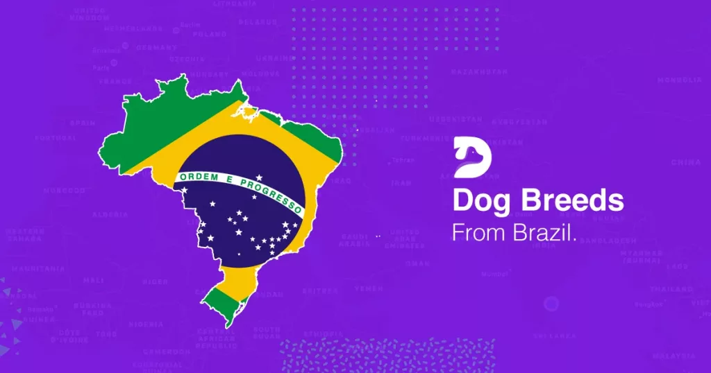 Brazil Dog Breeds