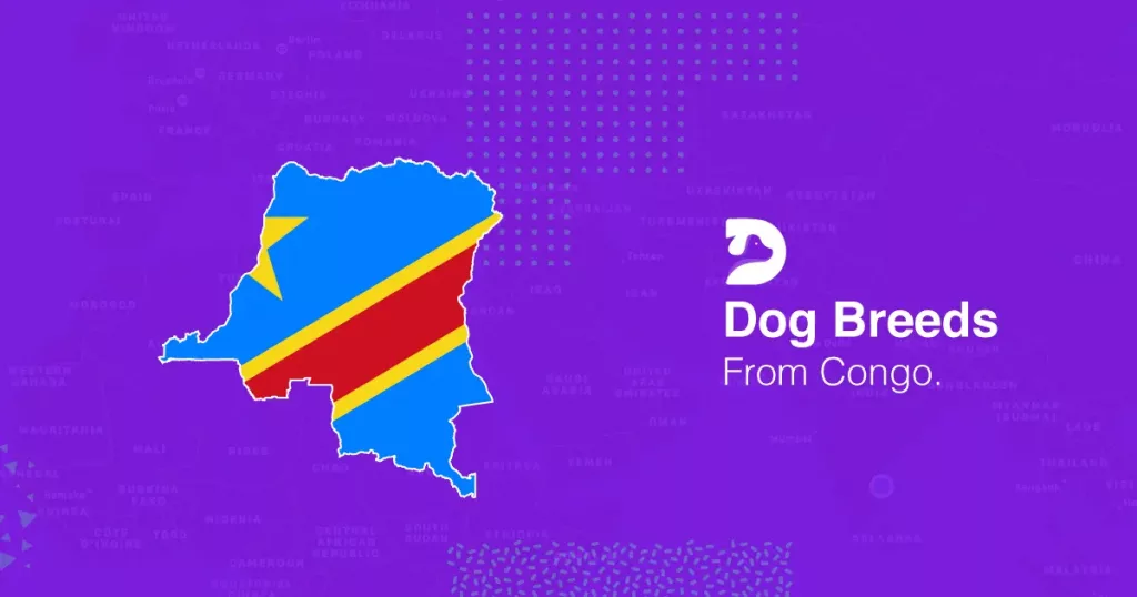Congo Dog Breeds