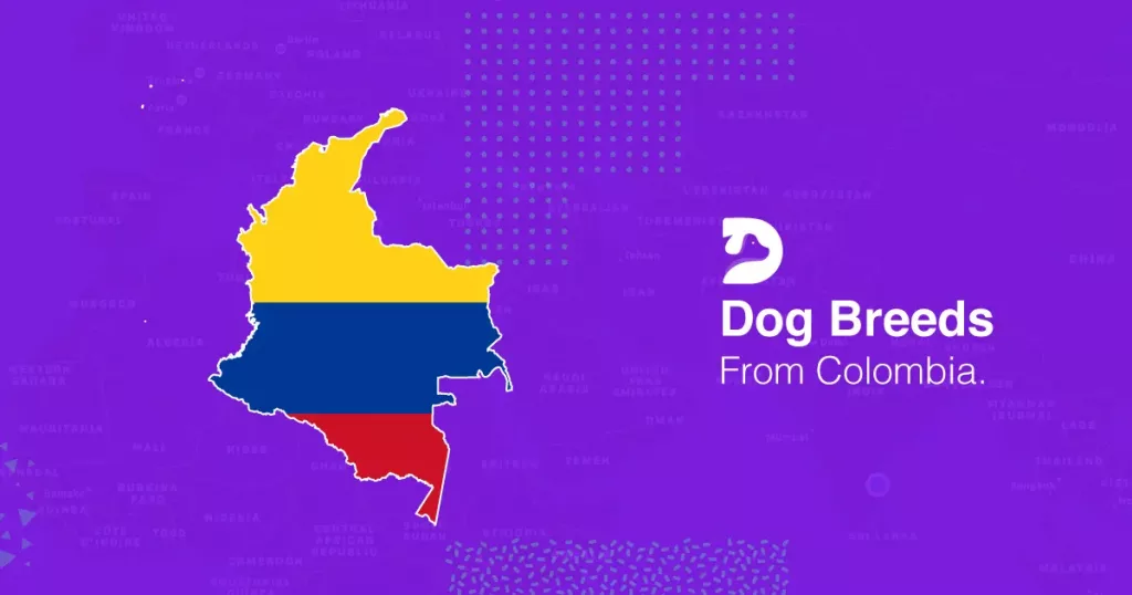 Colombian Dog Breeds