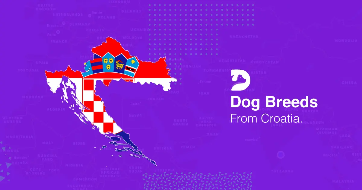 Croatian Dog Breeds