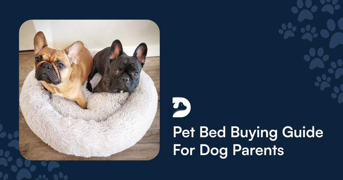 Dog Beds: The Complete Pet Bed Buying Guide For Dog Parents 2022​