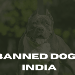 Banned Dogs In India
