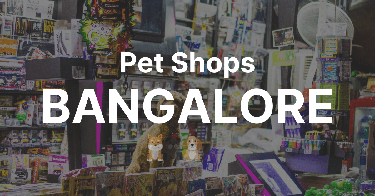 Pet Shops In Bangalore