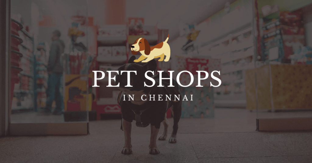 Pet Shops In Chennai